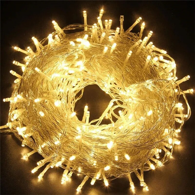 Outdoor Lighting Connectors - 220V EU Plug 10M100LED Outdoor String